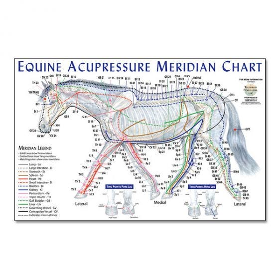 Meridian Chart