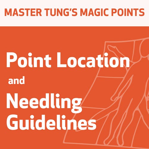 master-tung-s-magic-points-point-location-and-needling-guidelines-series